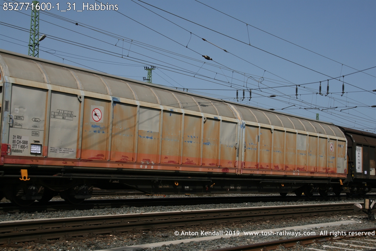 852771600-1_31_Habbins.JPG